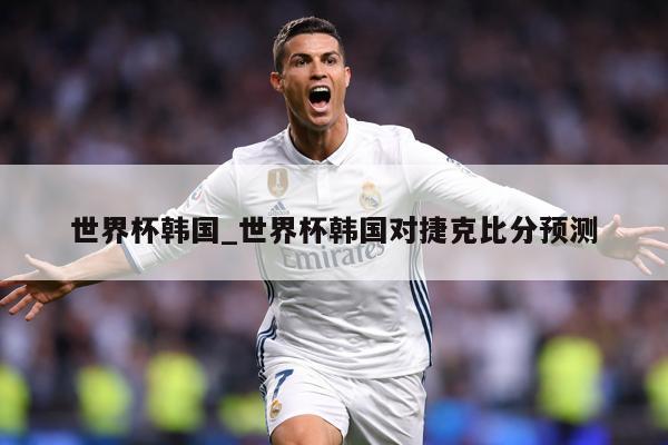 世界杯韩国_世界杯韩国对捷克比分预测