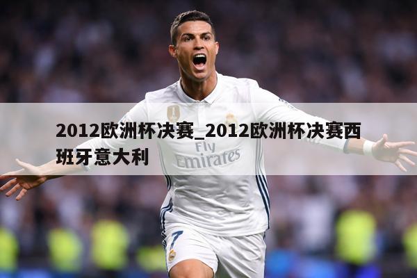 2012欧洲杯决赛_2012欧洲杯决赛西班牙意大利